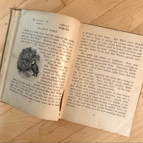 1901 Vintage Hardcover Schoolbook Green and Red - Picture 13 of 16